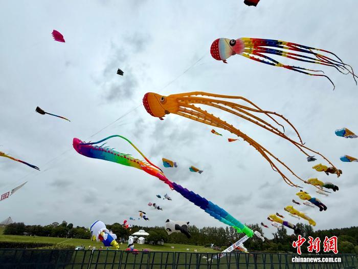 武汉首次承办风筝世界杯：黄陂迎来全球顶尖选