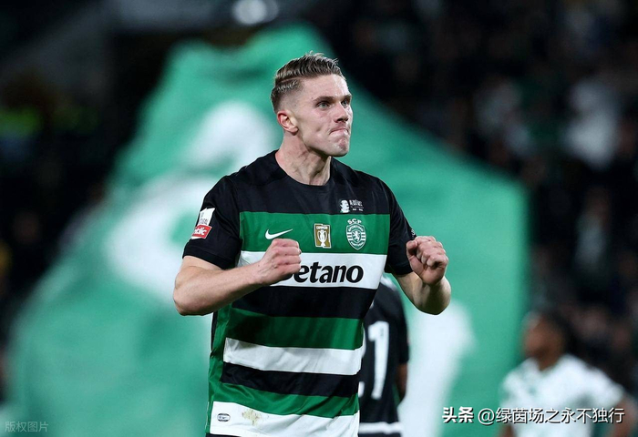 哲凯赖什绝杀助瑞典险胜波兰挺进世界杯